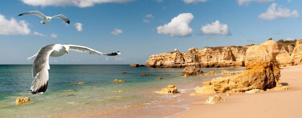 Espacoso Apt T2, Em Olhos Agua Албуфейра Екстер'єр фото